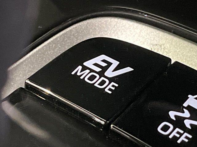 カローラクロス(新潟県長岡市)