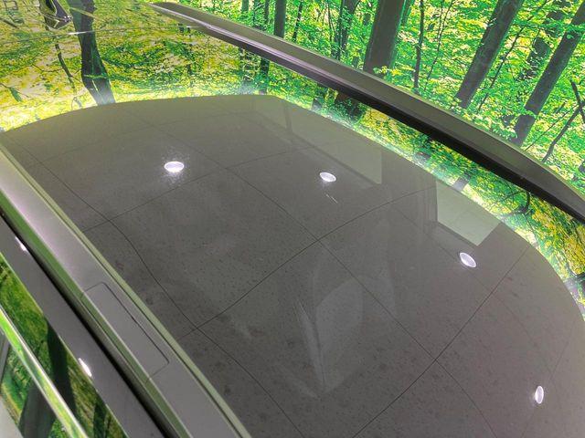 カローラクロス(新潟県長岡市)