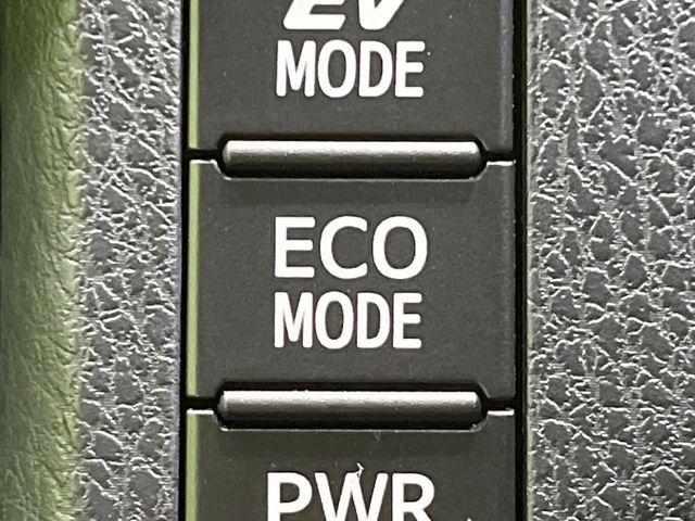 エスクァイア(新潟県長岡市)