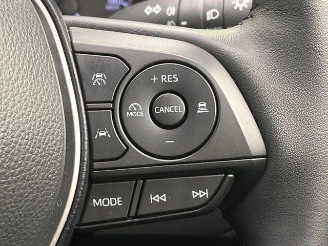 カローラクロス(新潟県新潟市南区)