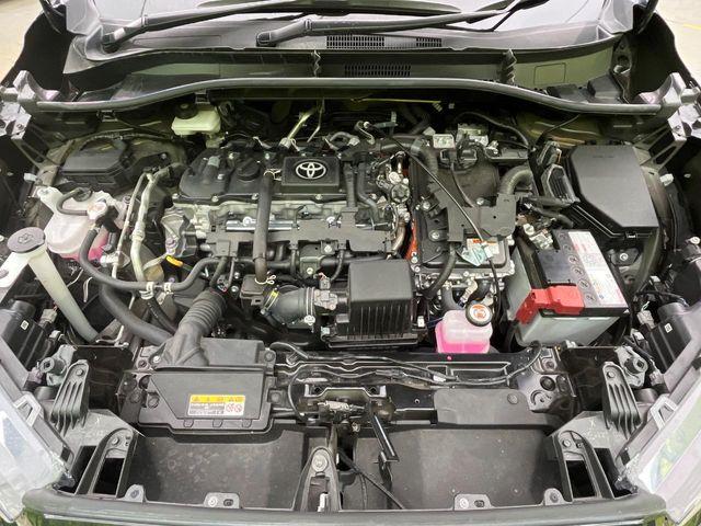 カローラクロス(新潟県新潟市南区)