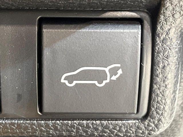 カローラクロス(新潟県新潟市南区)