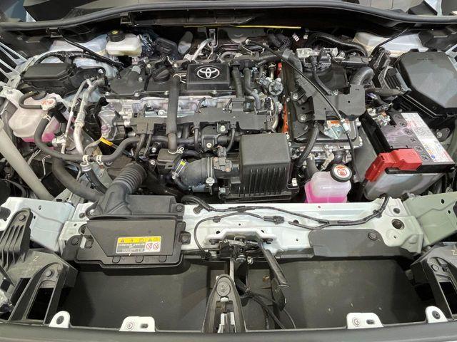 カローラクロス(新潟県新潟市南区)