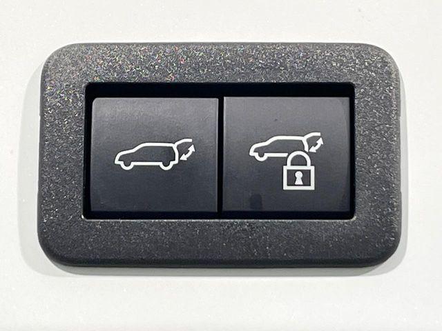 カローラクロス(新潟県新潟市南区)