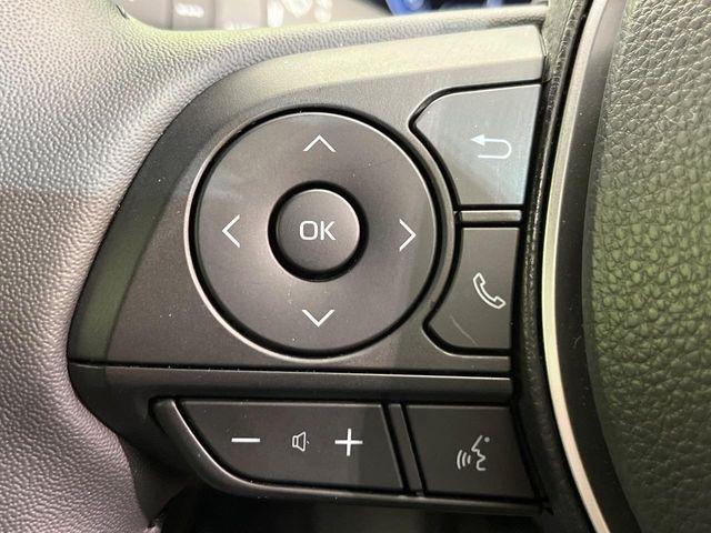 カローラクロス(新潟県新潟市南区)