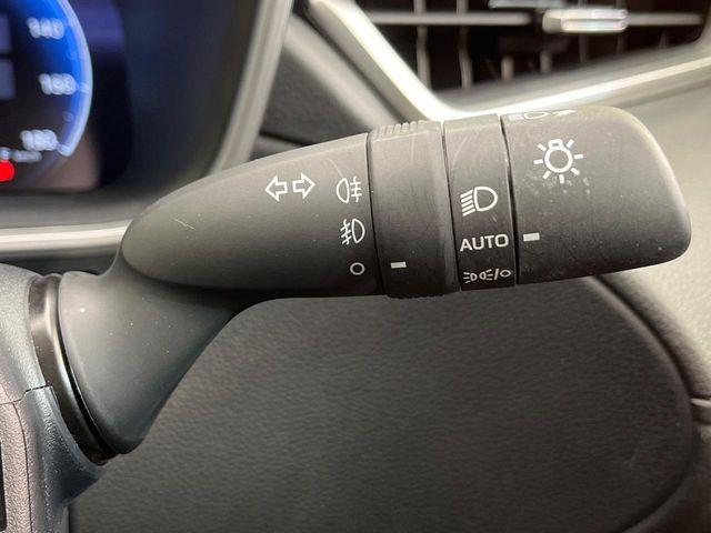 カローラクロス(新潟県新潟市南区)