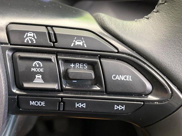 ヤリスクロス(新潟県新潟市南区)