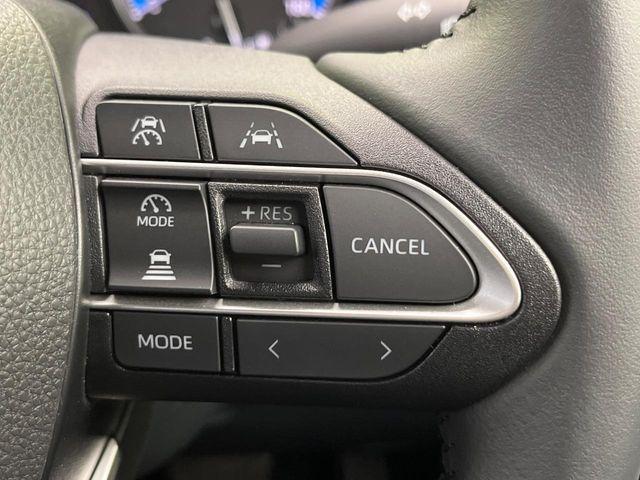 ヴォクシー（新潟県新潟市南区）