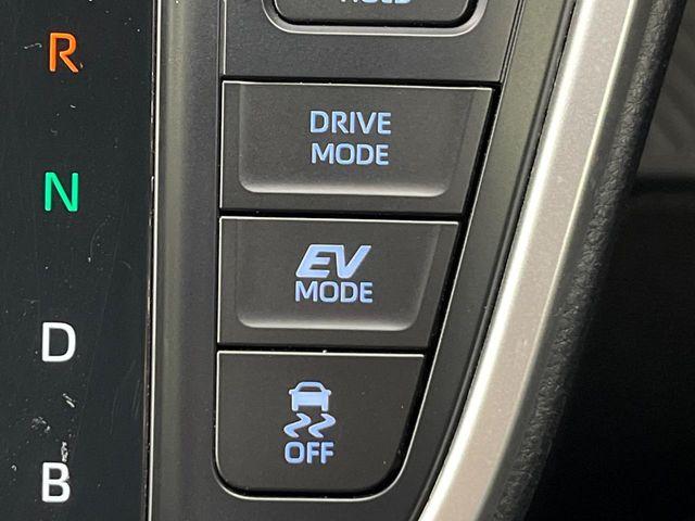 ヴォクシー（新潟県新潟市南区）