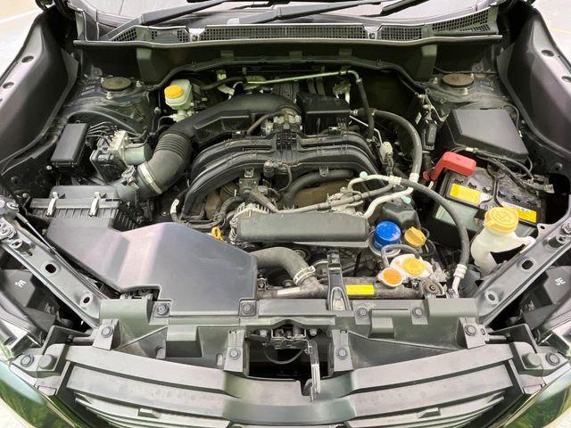 フォレスター（新潟県新潟市南区）画像18