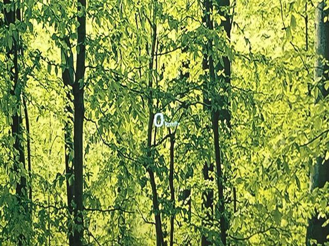 CX-8(新潟県新潟市南区)