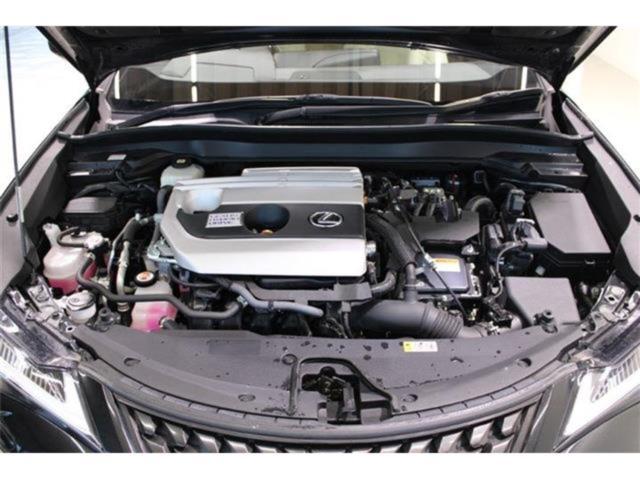 レクサスUX(新潟県新潟市東区)