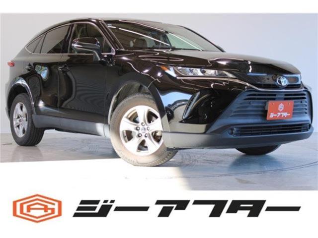 ハリアー（新潟県新潟市東区）