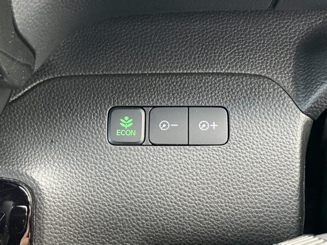 N_BOXカスタム(新潟県新潟市西蒲区)