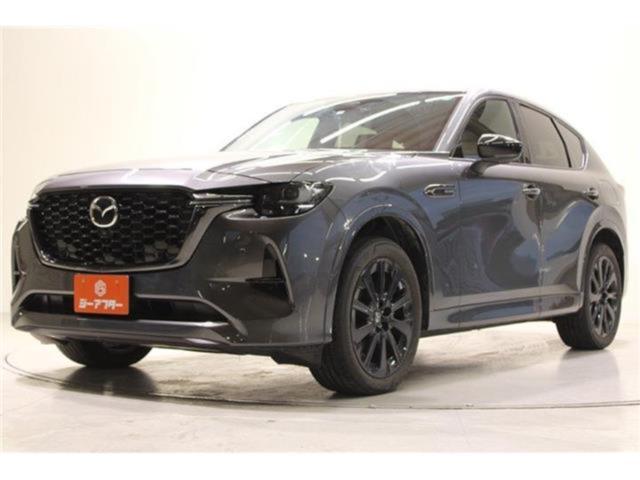 CX-60（新潟県新潟市東区）画像10