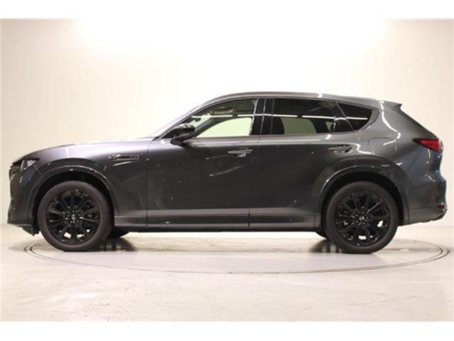 CX-60（新潟県新潟市東区）画像11