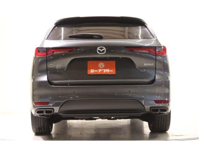 CX-60（新潟県新潟市東区）画像13