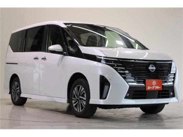 セレナ（新潟県新潟市東区）画像8