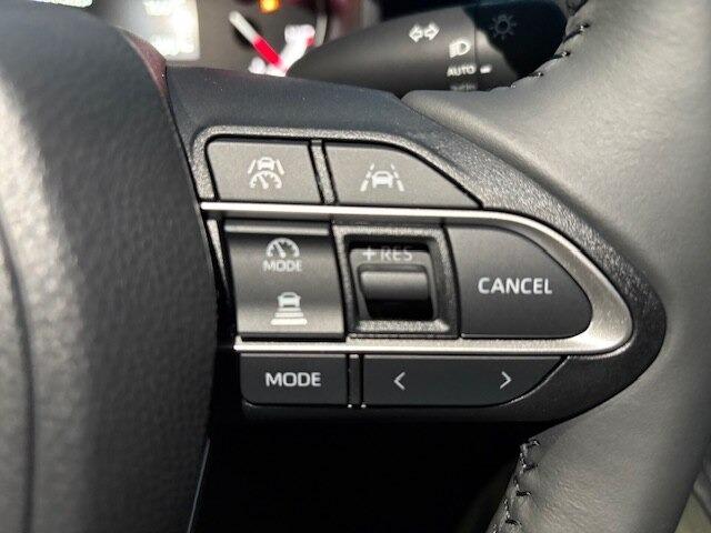 ノア(新潟県柏崎市)