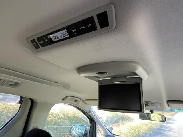 ヴェルファイア(新潟県新潟市東区)