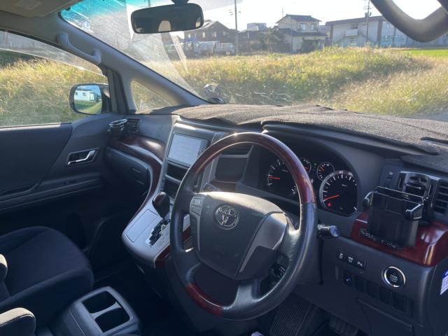 ヴェルファイア(新潟県新潟市東区)