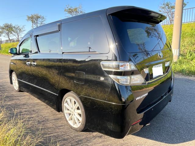 ヴェルファイア(新潟県新潟市東区)