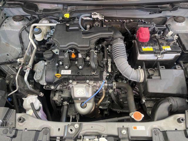 ロッキー（新潟県新潟市南区）画像18