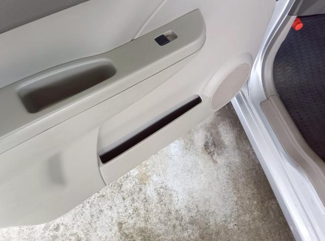 アルト(新潟県十日町市)