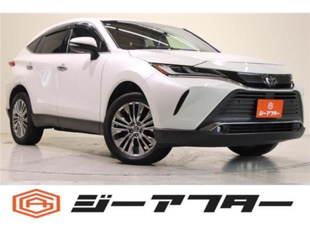 ハリアー（新潟県新潟市東区）