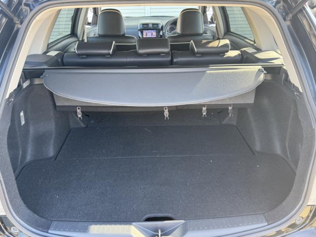 カローラフィールダー（新潟県新潟市西区）