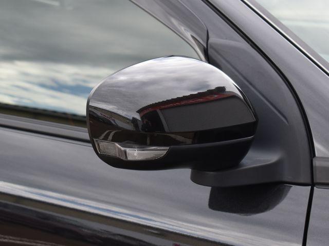 ロッキー（新潟県上越市）画像33