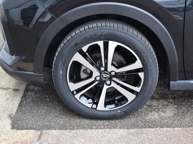 ロッキー（新潟県上越市）画像38