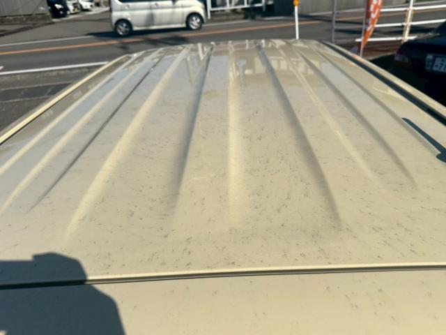 ハスラー(新潟県新潟市南区)