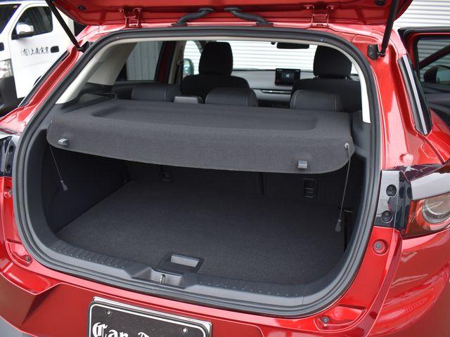 CX-3(新潟県上越市)