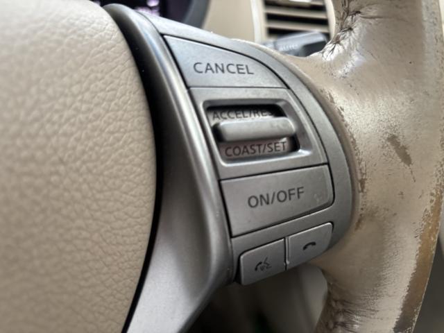 ティアナ（新潟県新潟市西蒲区）画像21