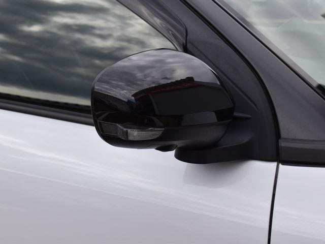 ロッキー（新潟県上越市）画像36