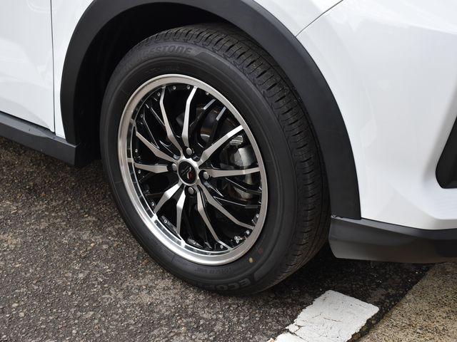 ロッキー（新潟県上越市）画像37