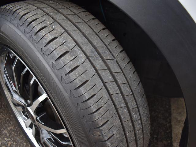 ロッキー（新潟県上越市）画像38