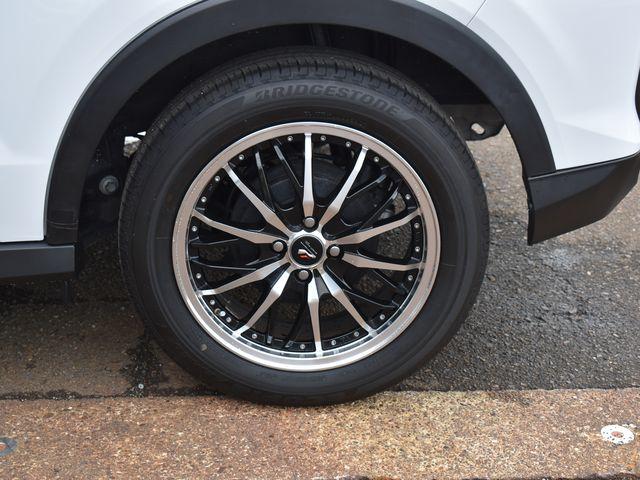 ロッキー（新潟県上越市）画像41