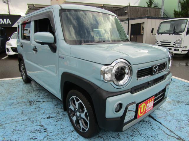 フレアクロスオーバー（新潟県糸魚川市）画像6