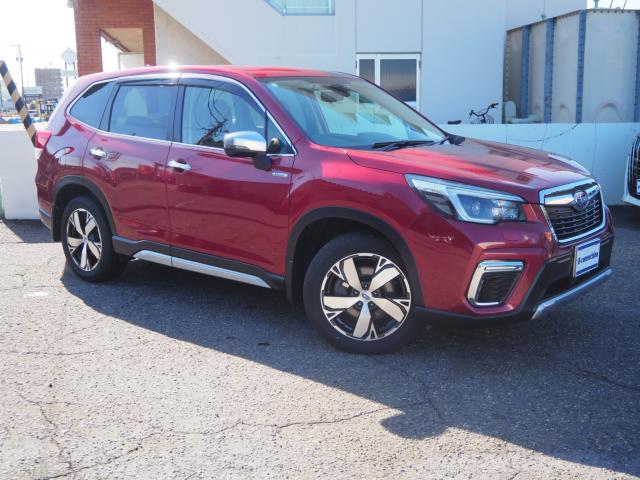 フォレスター（新潟県新潟市西区）画像25