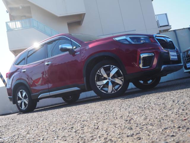 フォレスター（新潟県新潟市西区）画像26