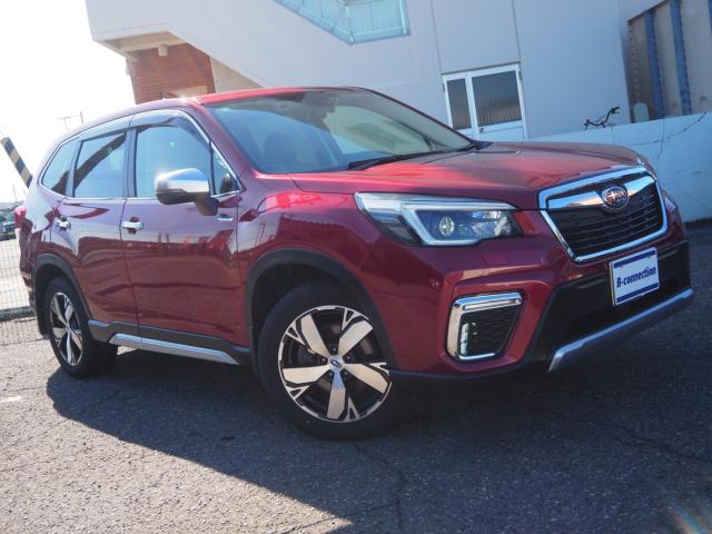 フォレスター（新潟県新潟市西区）画像37