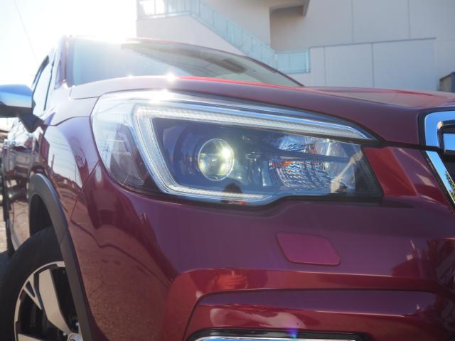 フォレスター（新潟県新潟市西区）画像38