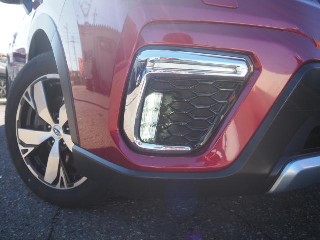 フォレスター（新潟県新潟市西区）画像39