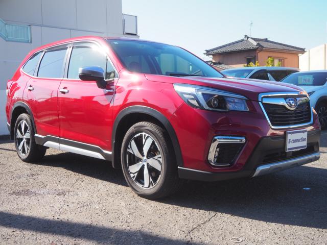 フォレスター（新潟県新潟市西区）画像27