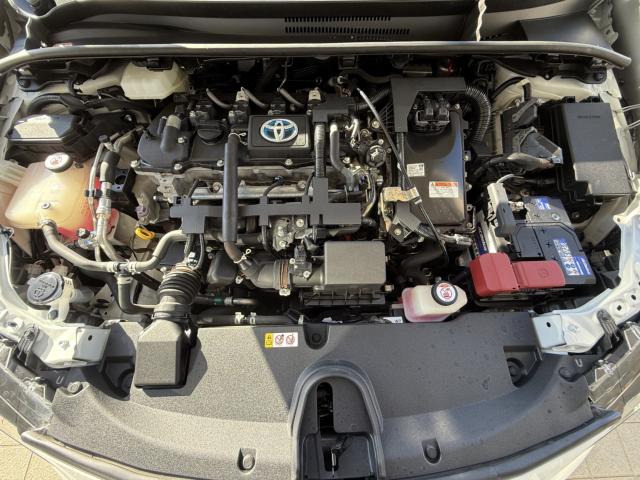 カローラ（新潟県長岡市）画像50