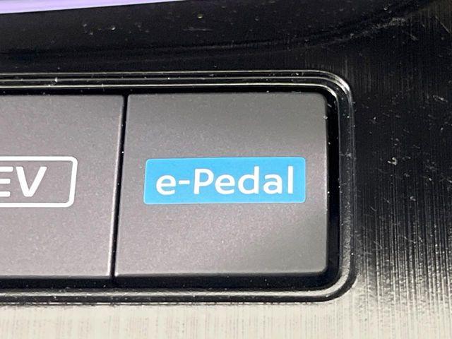 エクストレイル(新潟県長岡市)