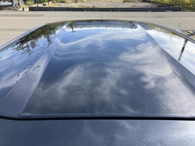 デイズ(新潟県新潟市西蒲区)