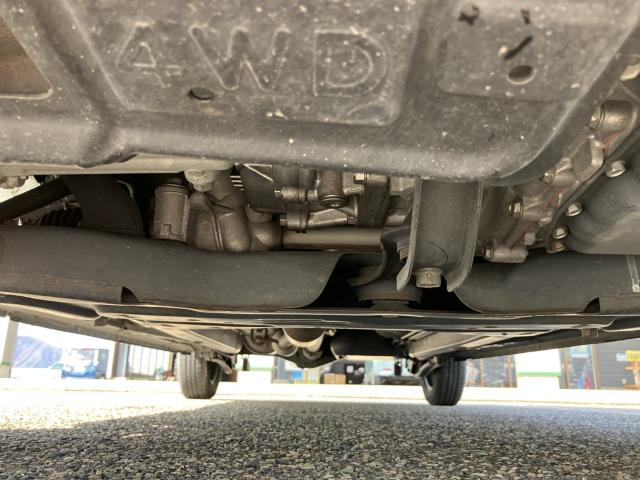 デイズ(新潟県新潟市西蒲区)